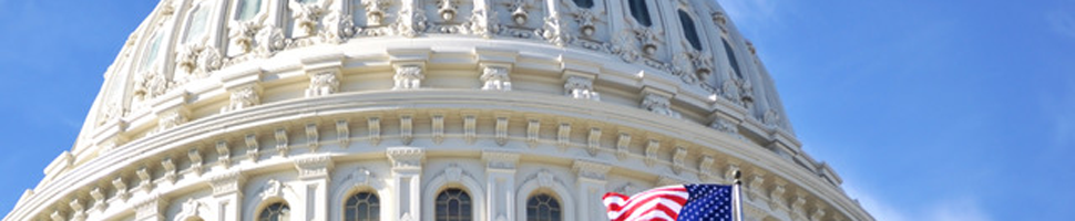 Political Communication Services